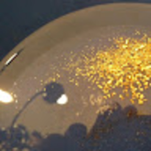 Meet your Posher, William - Picture 1 of 1